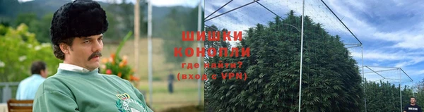 гидра Покачи