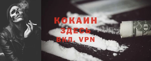 гидра Покачи