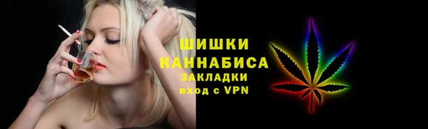 гидра Покачи
